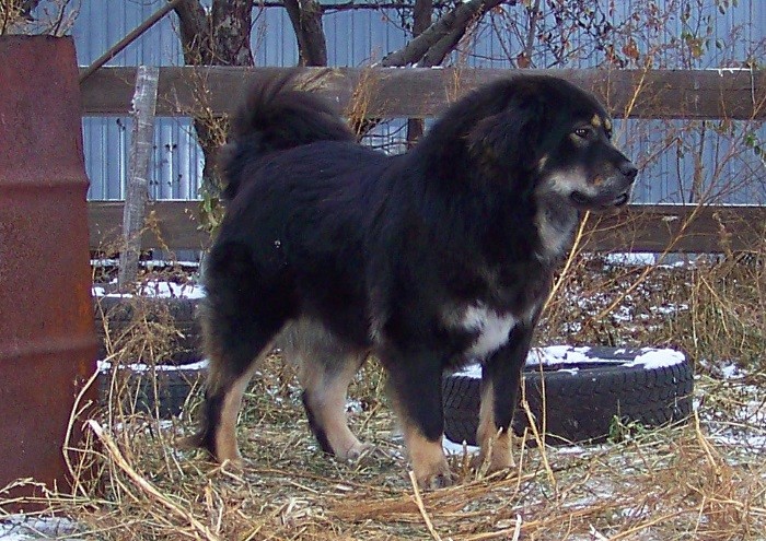 В загородном доме Содержание в частном доме