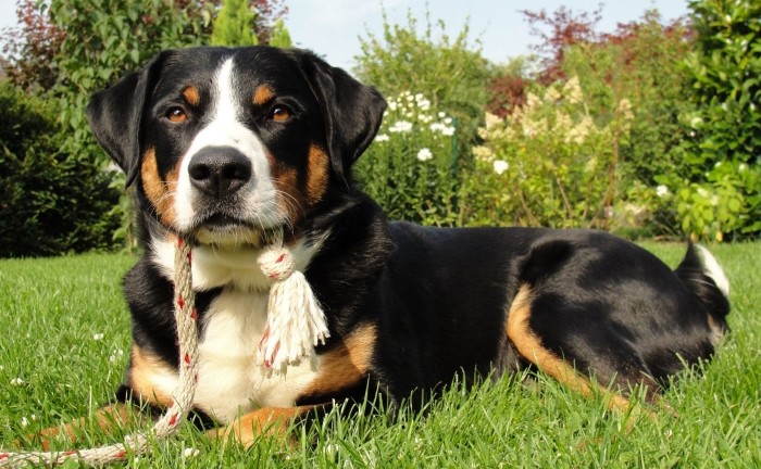 Давать нагрузки мышцам