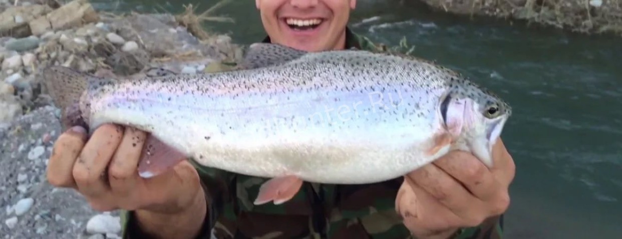 Форель промысел Форель промысел