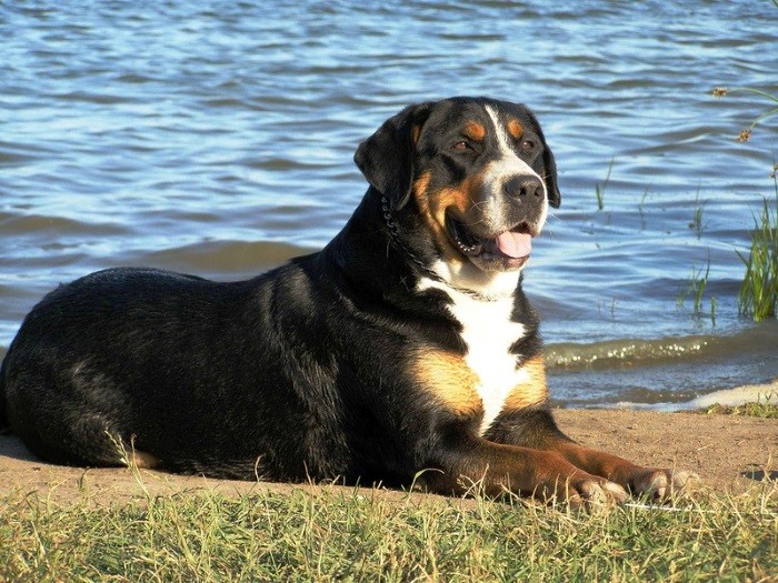 Хороший уход