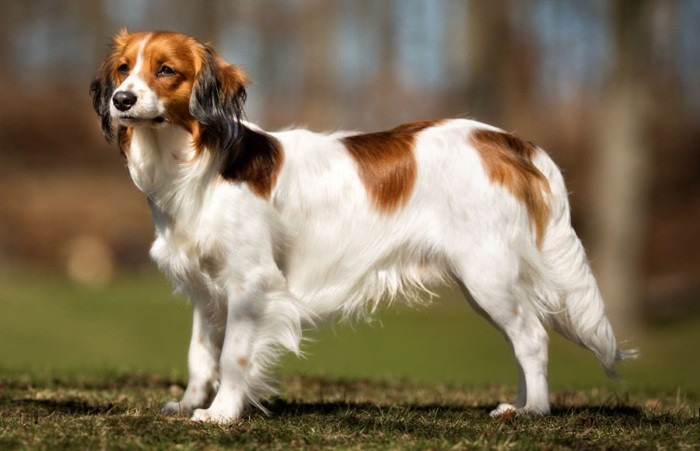 Karakter Liker kommunikasjon