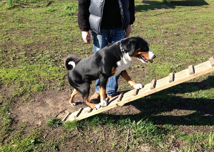 Не оставлять воспитание