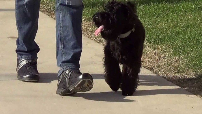 Grunnleggende kommandoer