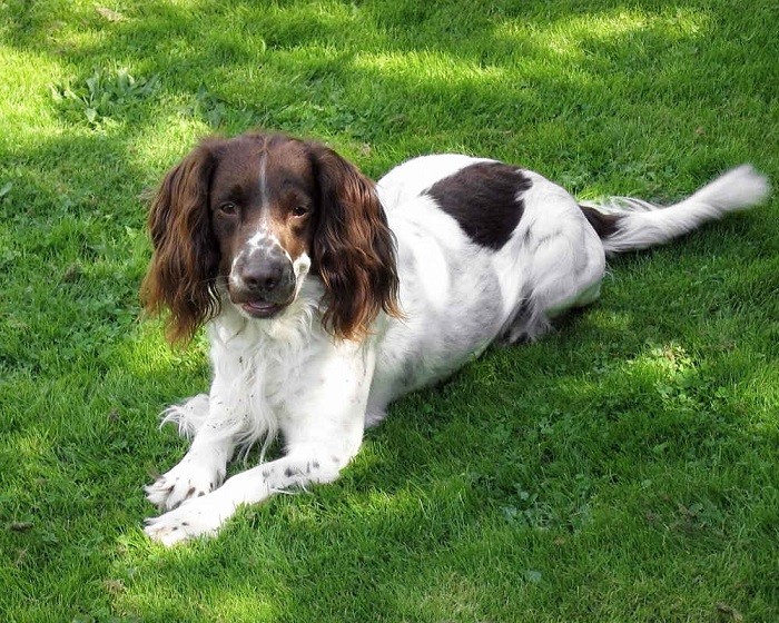 Eksterne data Interessante fakta