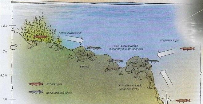 места стоянок