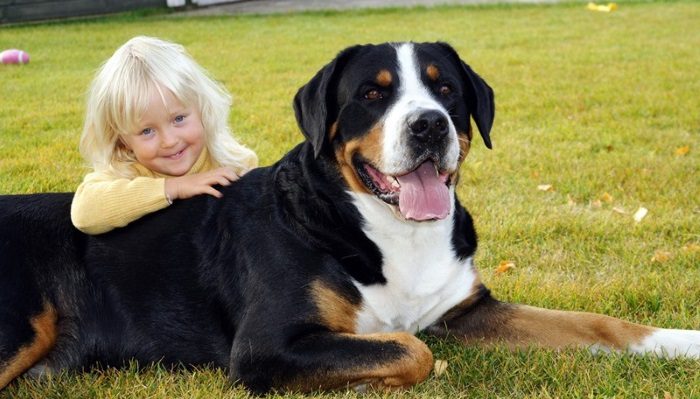 Хорошие няньки