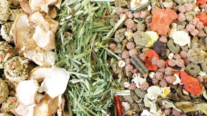 Корм для шиншилл