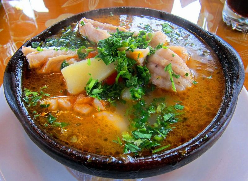 Каранкс: описание вида и места обитания