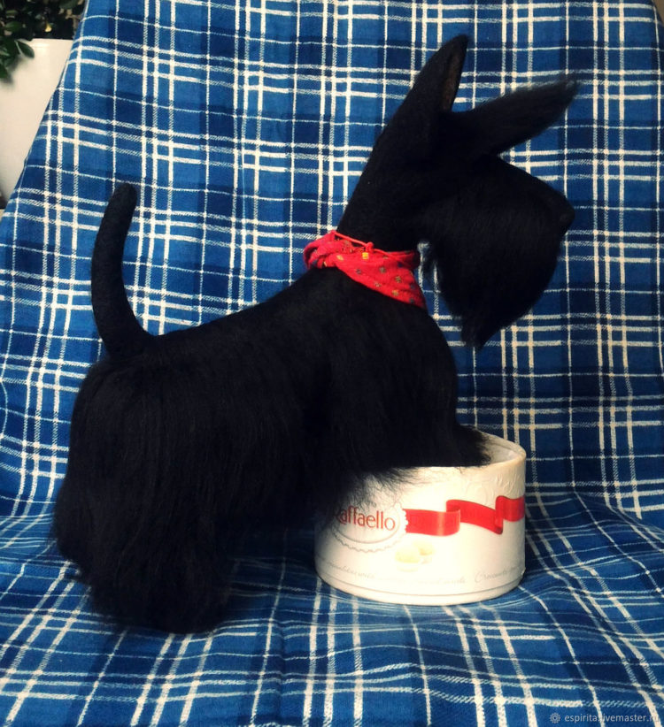 Скотч терьер: особенности породы, характера, воспитания