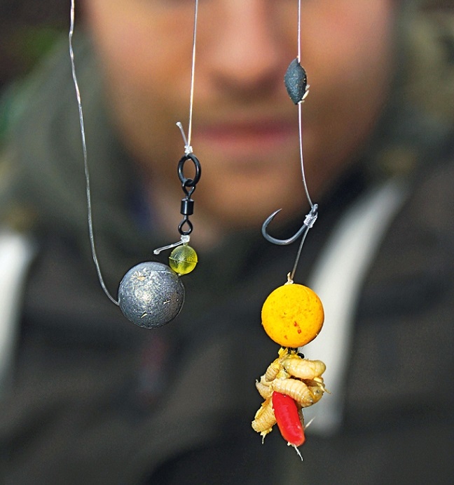 Ловля линя осенью в сентябре, октябре, ноябре на поплавочную удочку, фидер, донку - на что клюет, наживки, насадки