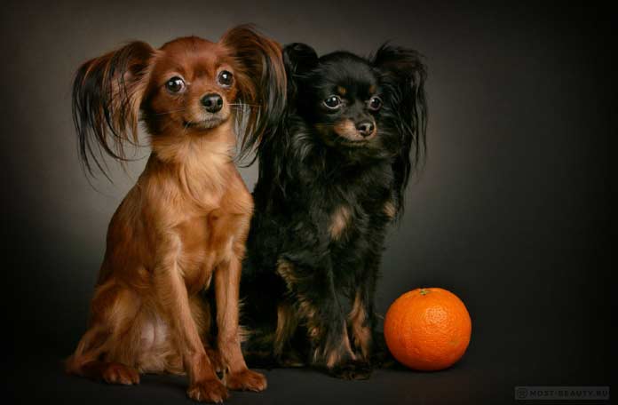 Русская игрушка