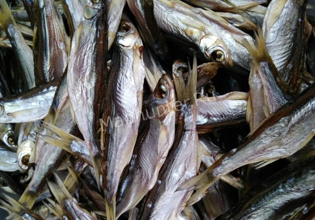 Уклейка сушённая