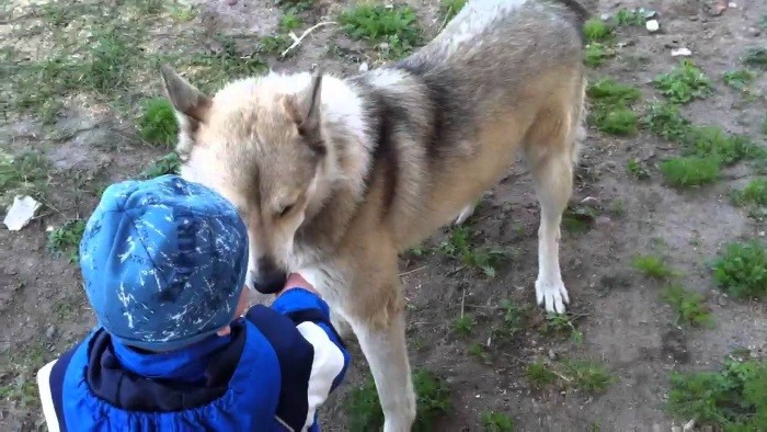 Sterk og selvstendig