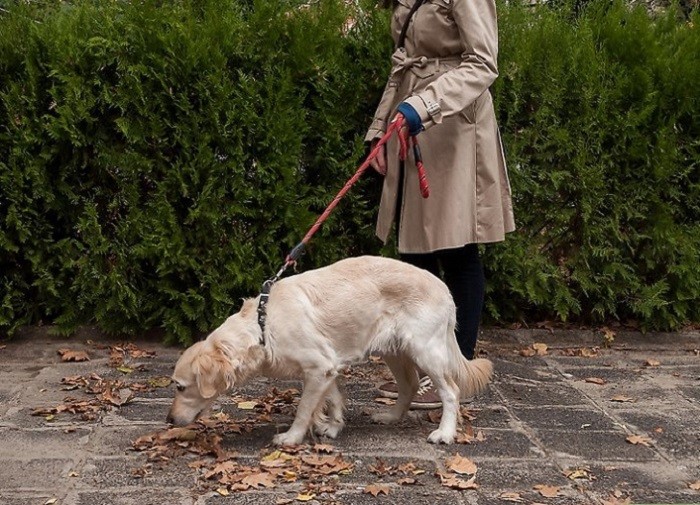 Возможные методы