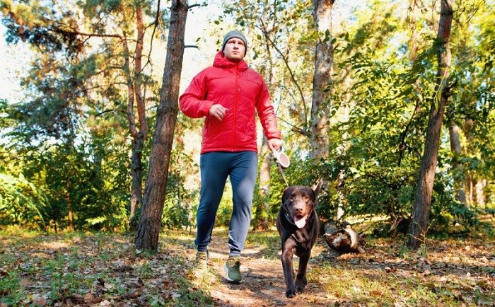 Награда собаки