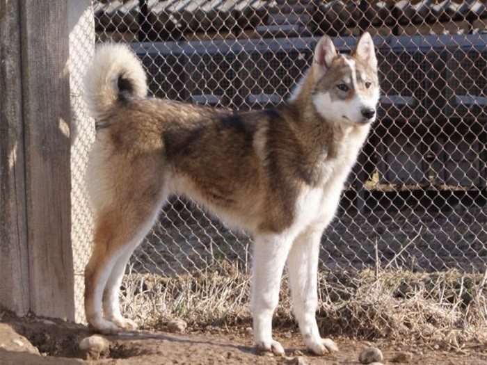 Trenger ikke hyppig bading