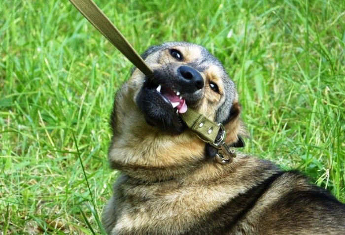 Правильный выбор