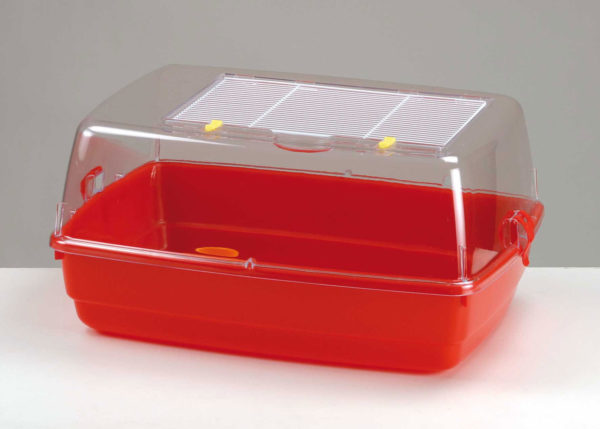 Дюна для морских свинок