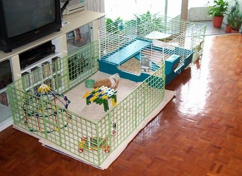 Вольер для морских свинок