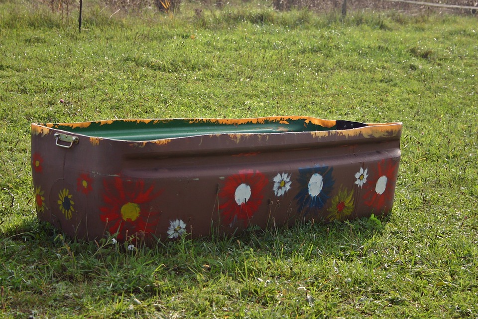 Вода должна быть чистой и свежей