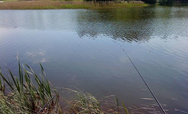 Ловля линя осенью в сентябре, октябре, ноябре на поплавочную удочку, фидер, донку - на что клюет, наживки, насадки