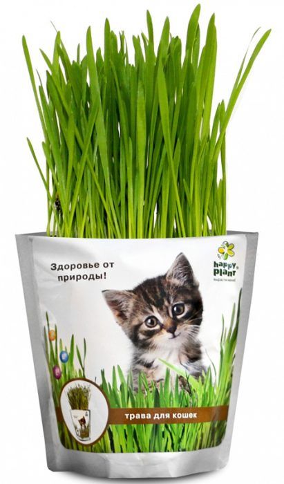 Набор для выращивания травы Трава в пакете
