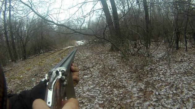 Для загонной охоты лучше подходит гладкоствольное оружие