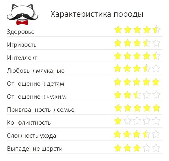 Особенности Характеристика породы рагамаффин