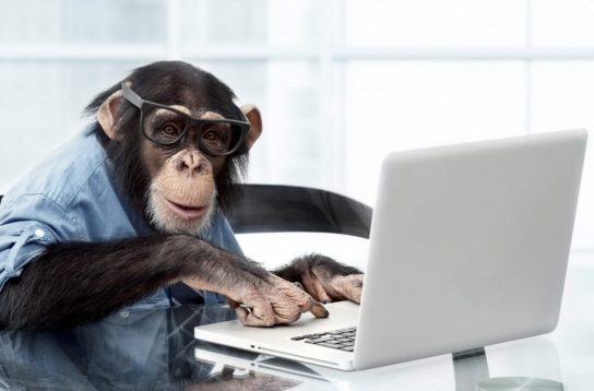 Факты об обезьянах