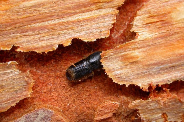 Меры профилактики