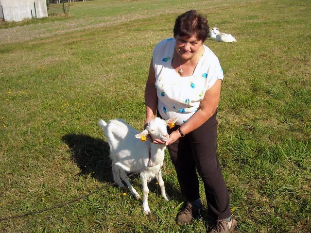 Коза на поводке