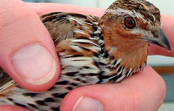 Стресс при движении