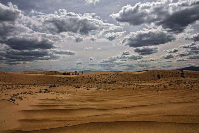 Растения и животные пустыни и полупустыни: флора и фауна тропического и субтропического мира