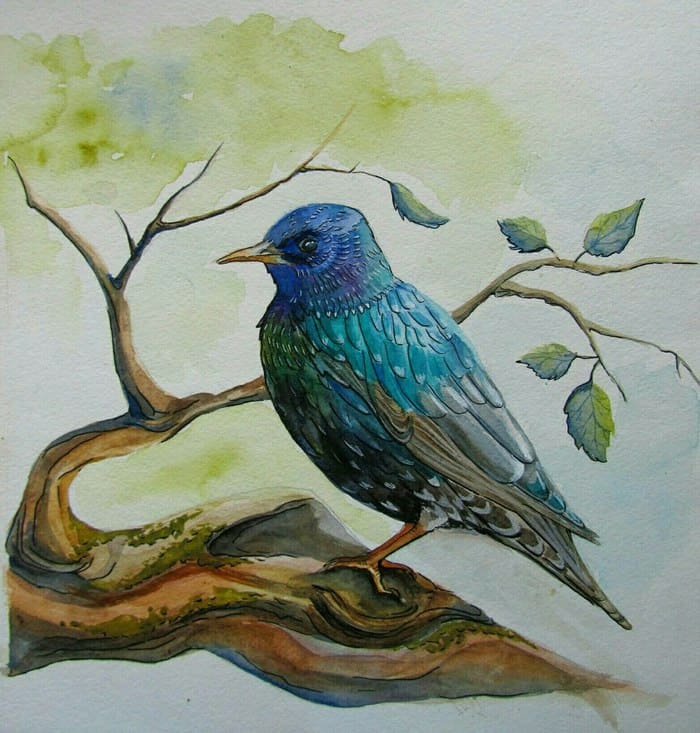 Сказка про скворца засоню и перелетных птиц