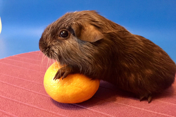 Правильный уход