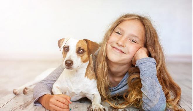 джек Рассел терьер