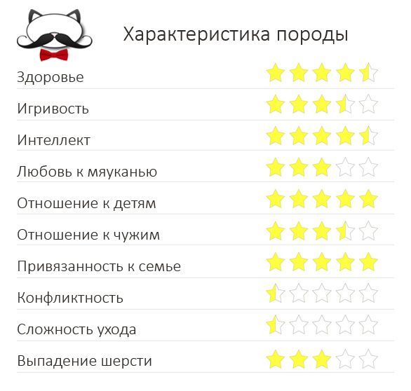 Характеристика породы Гавана