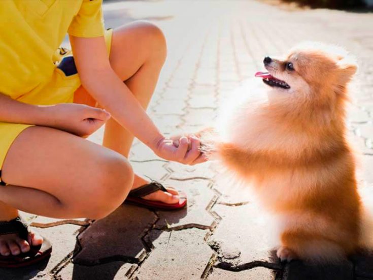 Обучение и образование