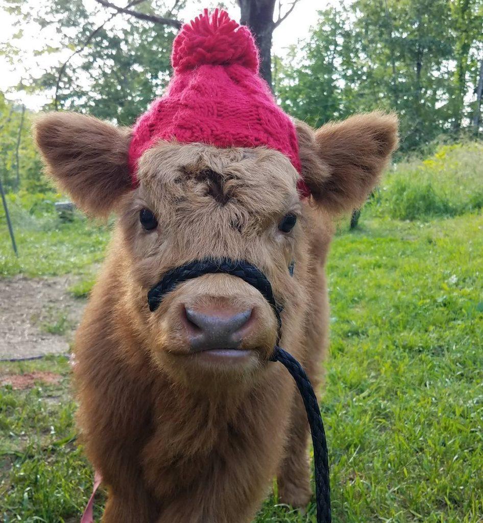 15 удивительных историй