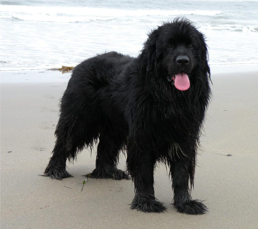 15 удивительных историй