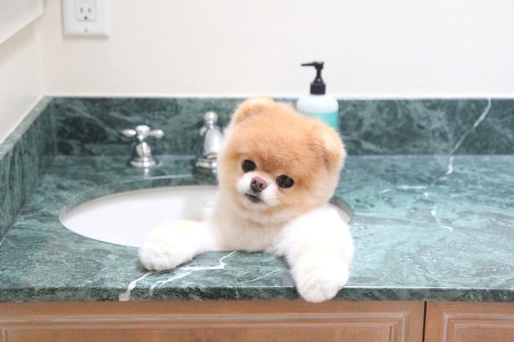 Уход и гигиена