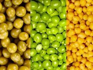 Приманка и прикормка для карпа