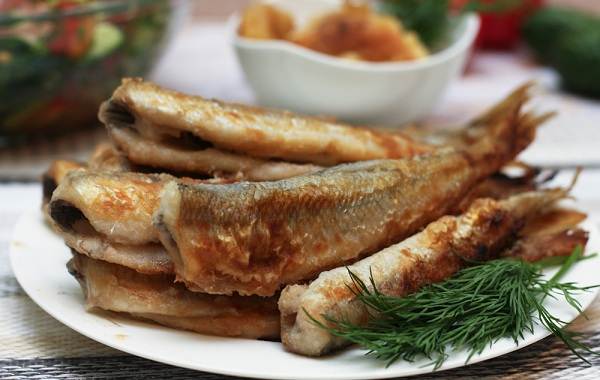 Smeltefisk-Beskrivelse-funksjoner-arter-livsstil-og-habitat-smelte-7