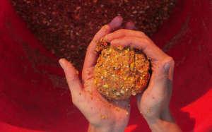 Прикормка на карпа весенняя своими руками