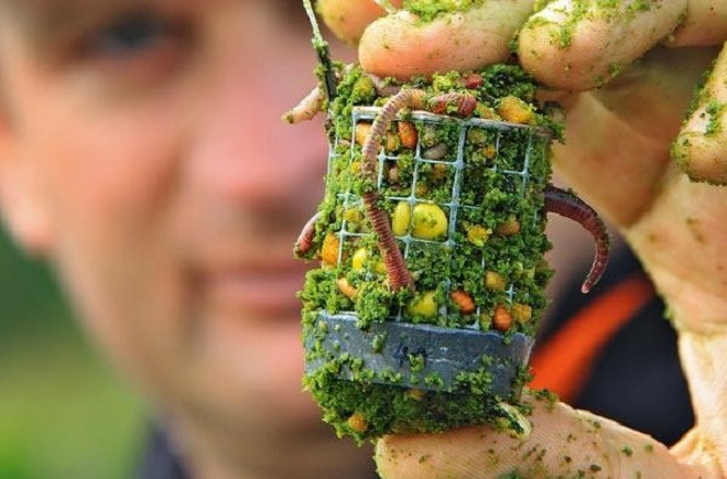 Кормовая фракция