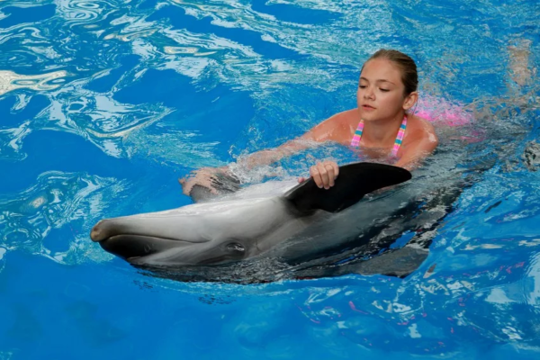 Дельфины становятся лучшими друзьями людей