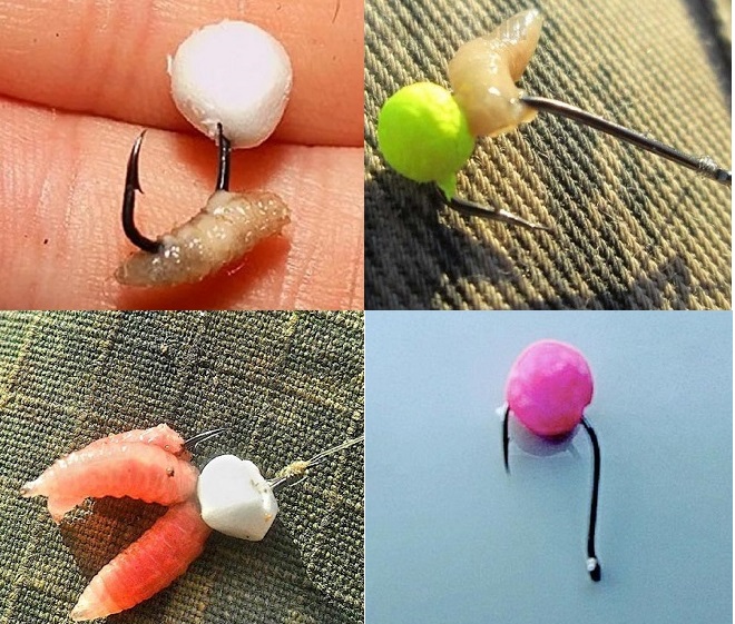 Fôringsagn for sabelfisk