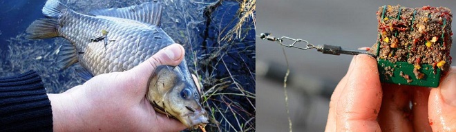 Прикормка на карася весной