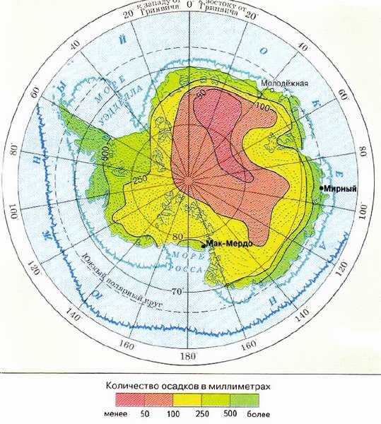 что они едят