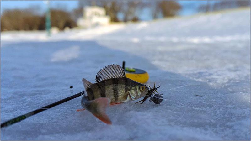 при каком давлении клюет рыба фото 3
